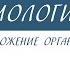 10 класс Биология Половое размножение организмов Мейоз
