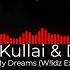 Timi Kullai DJ Ramezz Colour Of My Dreams W Ldz Extended Mix VJ Aux JUKEBOX