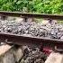 Train VS CocaCola Cocacola Shorts Train Tiktok Youtube Trending Asmr