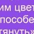 Бархатцы тагетес чернобривцы Собираю и сушу для чая лайфхаки полезныесоветы чай