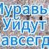100 средство от муравьёв муравьи дача грядки огород садоводство сад