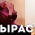 СМЫСЛ ЖИЗНИ САМЫЕ ВАЖНЫЕ СЛОВА РОДИТЕЛЕЙ ДЕТЯМ Юлия Гиппенрейтер ошибкиродителей