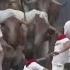 6 Hospitalized During Annual Running Of The Bulls In Spain