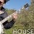 House Of The Rising Sun Harp Guitar Banjo Vs Electric Cover