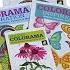 Colorama Coloring Books Collection With Coloring Pencils