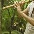 Janax Pacha Into My Nature Live Set In The Jungle Tulum Folktronica Organica