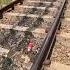 Train Vs Coke Experiment What Happens When A Train Crushes A Coke Can