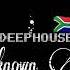 DEEP HOUSE MUSIC BEDOUIN FLIGHT OF BIRDS