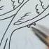 Nice Birds Drawing Shortvideos Viralvideos Trending Birdsdrawing Step By Step