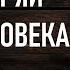 Жаль я этого НЕ ЗНАЛ Просветляющие цитаты Али ибн Абу Талиб которые заставляют задумываться