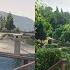 GTA 5 2013 Vs 2023 Vegetation Growth 10 Years Passed Graphics Comparison