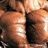 UNIQUE GOLDEN ERA PHYSIQUES OLD SCHOOL BODYBUILDING MOTIVATION
