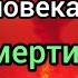 Идут ли души верующих сразу на небо Или в чистилище Или находиться в гробах