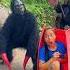 2 Ferocious Gorilla Monsters Attack Brave Girl And Poor Scared Old Man Hiding In Hole