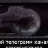 Что происходит с мозгом во время смерти Shorts