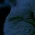 You Haunt Me Lisa Hannigan