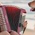 Accordion Hits Beautiful Melodies On The Accordion
