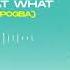 D Flexx What What Official Audio Ft Zim Pogba