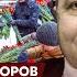 Суворов о том почему сегодня у Сталина в России высокий рейтинг
