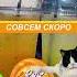 В предвкушении жаркого сезона предлагаем добавить в меню Лимонадный микс SimpaTea лимонад Mix