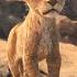 Mufasa The Lion King Official Trailer