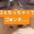 ｳｩ 声ちいさいと話すとき勇気いるよﾈ コぇちっちゃくてゴメンネ 暴走p ボカロ 踊ってみた すみませんあのちょっといいですか