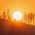 Terror Morning Sun Etherwood Remix