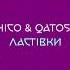 Chico Qatoshi Ластівки