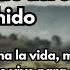 EL SECRETO De La DISCIPLINA SAMURAI Descubre El Código Bushido Y La Filosofía Samurái