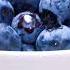 Blueberry Berry Berries As Antioxidant Heart Health