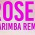 Roses Chainsmokers Marimba Remix Ringtone For IOS Android Phones