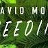 Needin U Club Mix David Morales Presents The Face