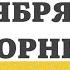 19 НОЯБРЯ ВТОРНИК ЕВАНГЕЛИЕ ДНЯ 5 МИНУТ АПОСТОЛ МОЛИТВЫ 2024 мирправославия