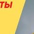 Вся правда про фрукты Запись прямого эфира в Инстаграм Бая Че Доктор Натуропатии