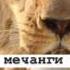 Ба номард хои ин замона дахл дорад