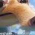 Ice Age Scrat Tales 2022 X S And Uh O S With Healthbars