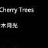 初音未來 夢與葉櫻 二胡版 By 永安 Hatsune Miku Dreams And Leaved Cherry Trees Erhu Cover