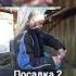 посадил редиску