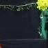 Russian Elka In Dallas Новогоднее Музыкальное Представление Приключения в Джунглях 2