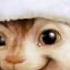 Alvin And The Chipmunks Christmas Song
