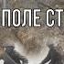 Раскопки на поле страшного боя Солдаты стояли насмерть наконец нашли погибшего героя War Diggers