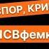 Две блогерши ПРОТИВ Майского это надо видеть Отношения мужчин и женщин