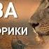 Луангва Дикие реки Африки Discovery