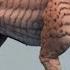 What Can And Can T Evolution Do