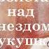 Часть01 Гл 01 Пролетая над гнездом кукушки КенКизи ДжахангирАбдуллаев аудиокнига Audiobooks
