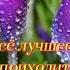 Я Желаю Вам Добра