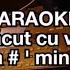 Ce Am Făcut Cu Viața Mea Fa Min KARAOKE