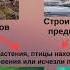 5 класс Человек и мир Влияние человека на природу Земли