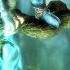 Legacy Of Kain Soul Reaver 2 Story Cutscenes