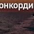 Крушение Конкордии Взгляд изнутри Discovery